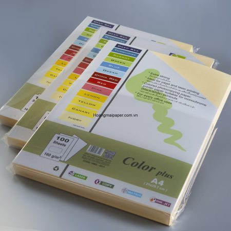 BM160 - Bìa Summer màu vàng