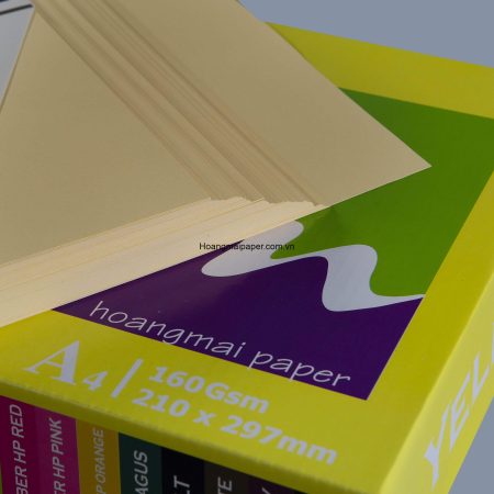 BM160 - Bìa Summer màu vàng