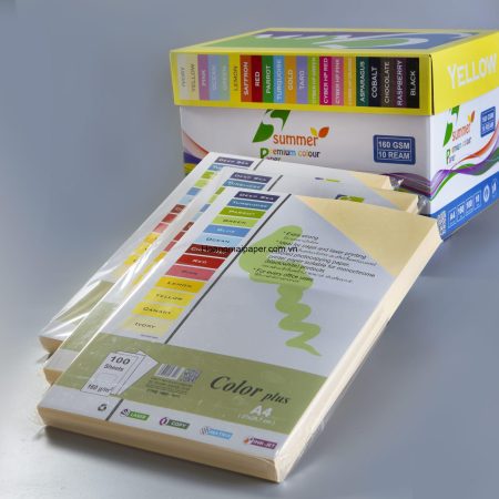 BM160 - Bìa Summer màu vàng