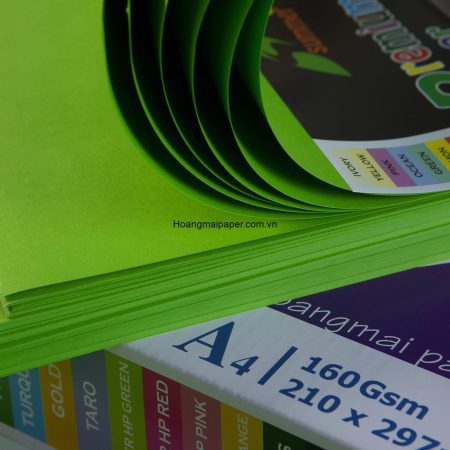 BM230 - Bìa màu Xanh vẹt