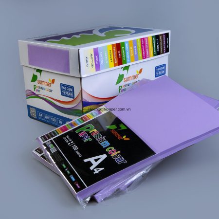 BM274 - Bìa màu tím khoai môn