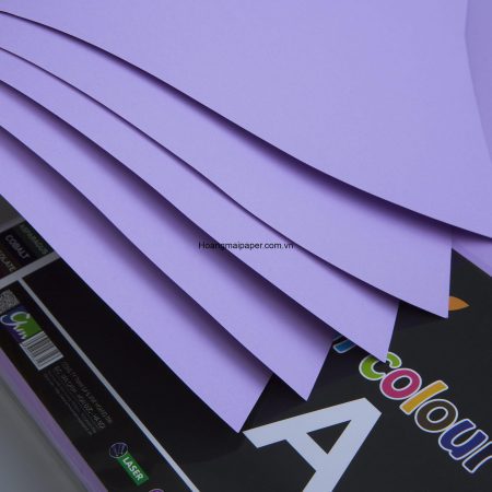 BM274 - Bìa màu tím khoai môn